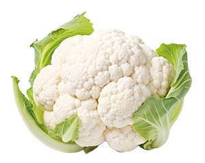 CAVOLFIORI CORONATI