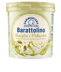 GELATO BARATTOLINO DELIZIOSO SAMMONTANA 