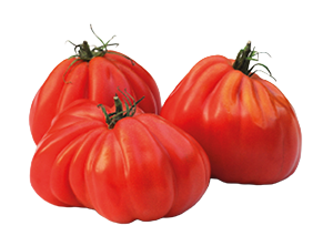POMODORI CUORE DI BUE