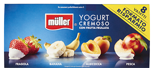 YOGURT MULTIPACK MULLER