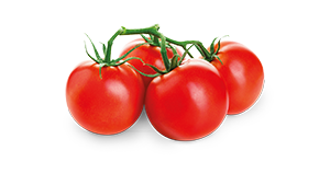 POMODORO GRAPPOLO HORTO