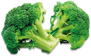 BROCCOLETTI