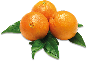 ARANCE NAVEL FOGLIA
