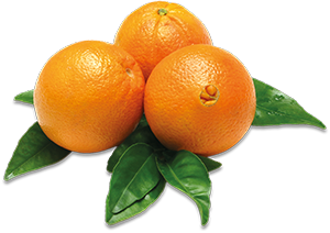 ARANCE NAVEL