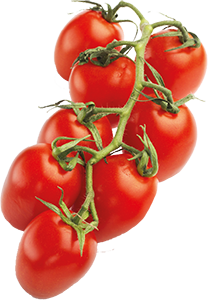 POMODORO PICADILLY NATURA E’ 