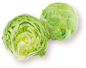 INSALATA ICEBERG AMONATURA 