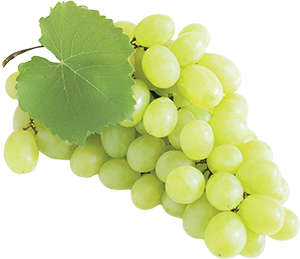 UVA BIANCA 