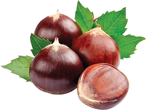 CASTAGNE