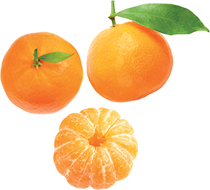 CLEMENTINE