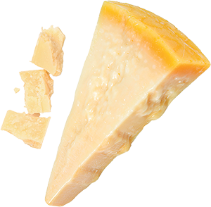 MANTUANELLA