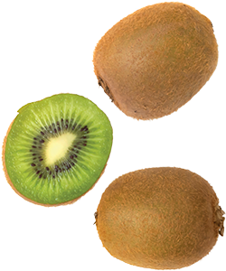 KIWI 