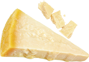 PARMIGIANO REGGIANO DOP