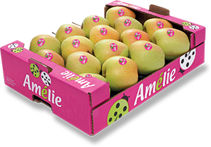 MELE GOLDEN DEL TRENTINO