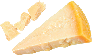 PARMIGIANO REGGIANO DOP