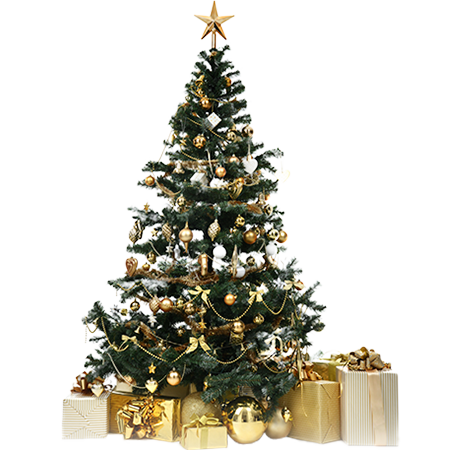 Pino Mediterraneo 180 cm