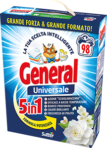 DETERSIVO LAVATRICE IN POLVERE GENERAL