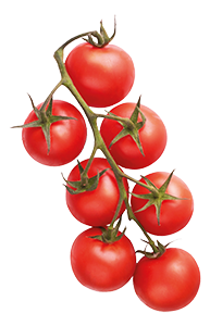 pomodoro ciliegino natura è