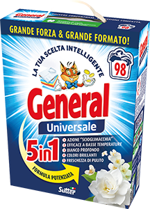 DETERSIVO LAVATRICE IN POLVERE