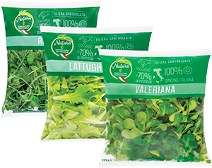 RUCOLA, LATTUGHINO, VALERIANA NATURA É