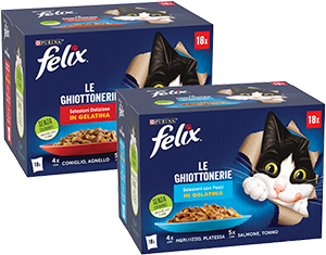 LE GHIOTTONERIE FELIX