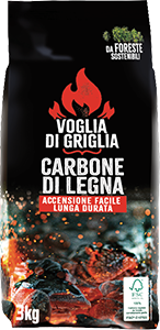 CARBONE DI LEGNA VOGLIA DI GRIGLIA