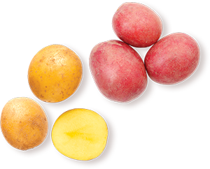 PATATE ROSSE, GIALLE