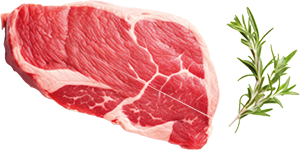 TAGLIATA DI SCOTTONA 