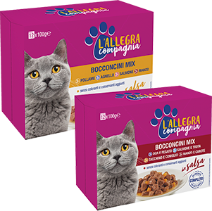 BOCCONCINI IN SALSA, GELATINA L’ALLEGRA COMPAGNIA