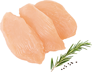 PETTO DI POLLO