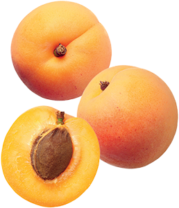 ALBICOCCHE