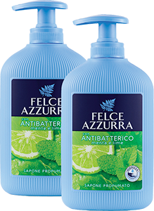 SAPONE ANTIBATTERICO FELCE AZZURRA