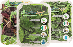 SPINACINO, DUETTO, INSALATA MISTA