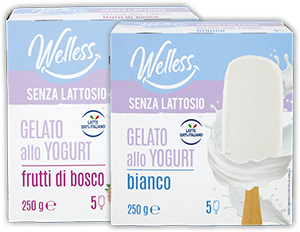 GELATO ALLO YOGURT BIANCO, FRUTTI DI BOSCO WELLESS