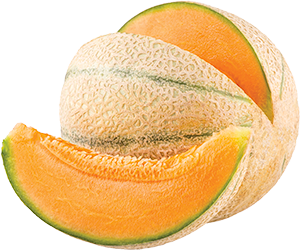 MELONE RETATO