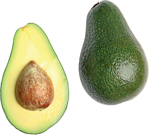 AVOCADO