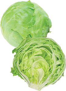 INSALATA ICEBERG