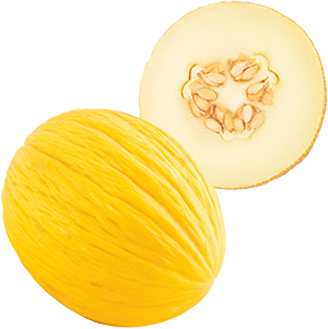 MELONE GIALLETTO