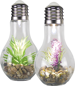 LAMPADINA LED IN VETRO CON PIANTINA