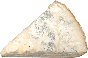 GORGONZOLA DOLCE DOP