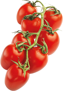 POMODORO PICCADILLY
