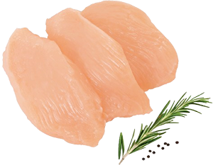 PETTO DI POLLO