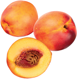 PESCHE NETTARINE