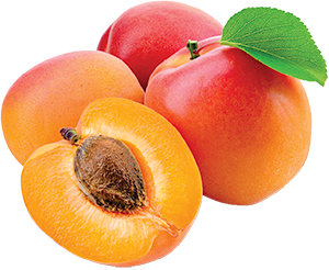ALBICOCCHE