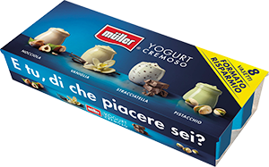 YOGURT CREMOSO MÜLLER