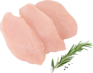 PETTO DI POLLO