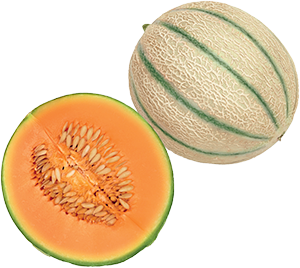 MELONE RETATO