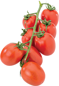 POMODORO DATTERINO NATURA È