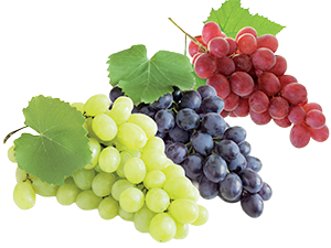 UVA BIANCA, NERA, ROSSA NATURA È