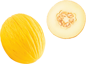 MELONE GIALLETTO