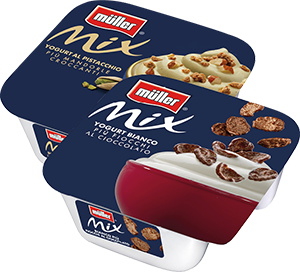 YOGURT MULLER MIX 